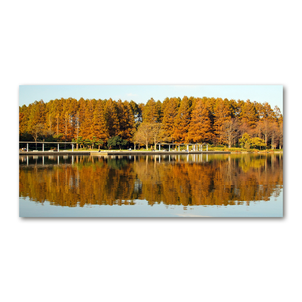 Tableau imprimé sur verre Forêt de bord de lac