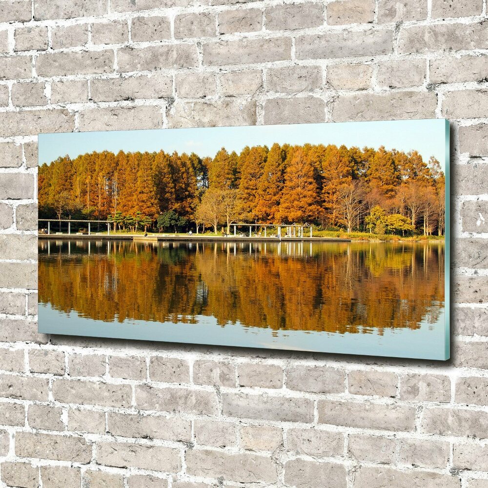 Tableau imprimé sur verre Forêt de bord de lac