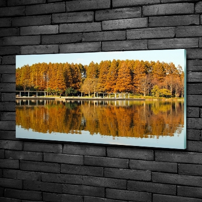 Tableau imprimé sur verre Forêt de bord de lac