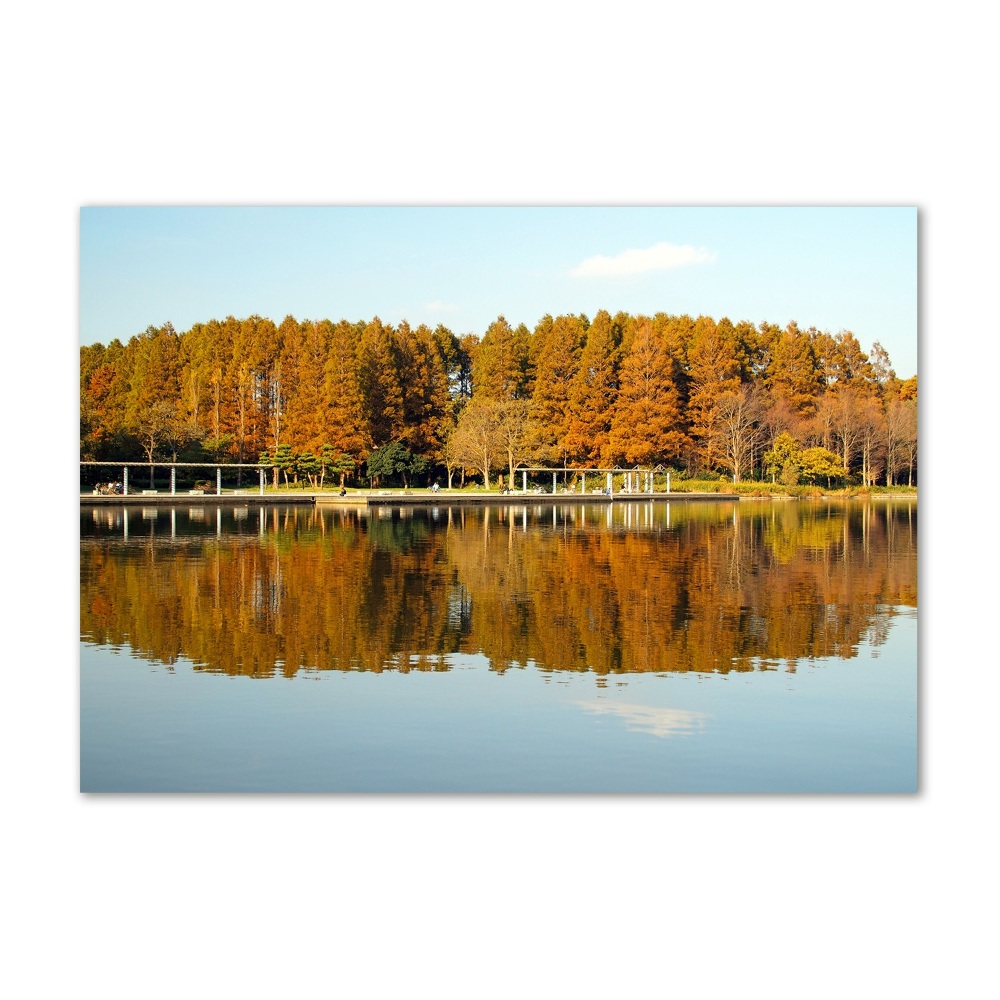 Tableau imprimé sur verre Forêt de bord de lac