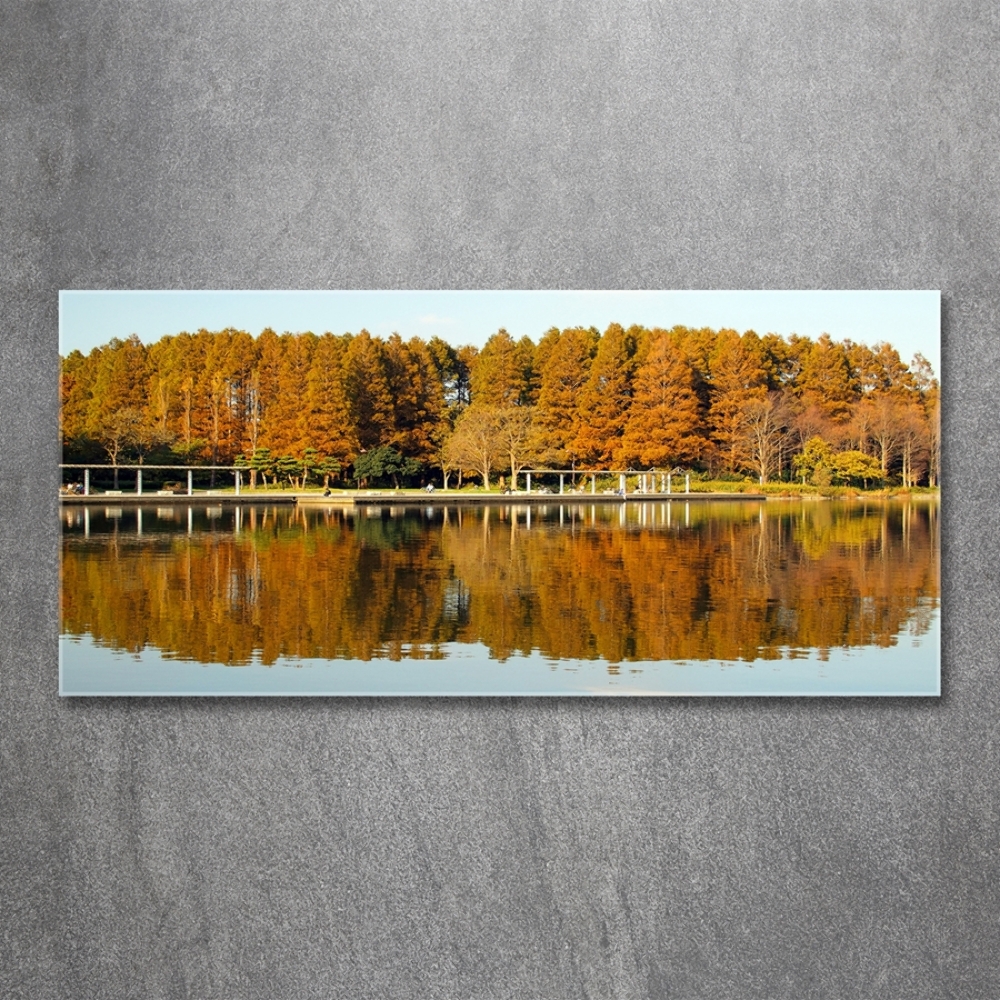 Tableau imprimé sur verre Forêt de bord de lac