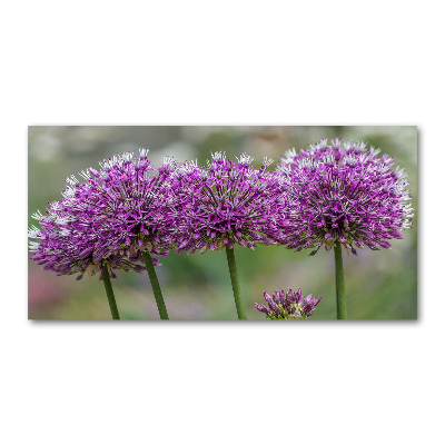 Tableau verre imprimé Fleur d'ail