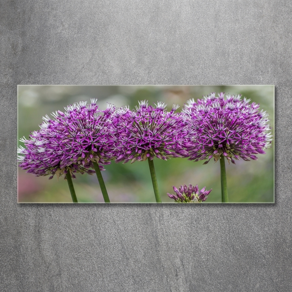 Tableau verre imprimé Fleur d'ail