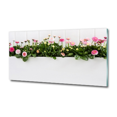 Tableau photo sur verre Marguerites roses