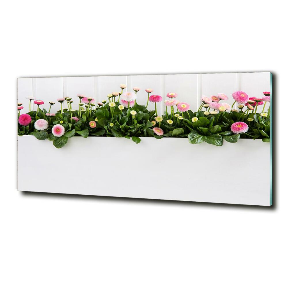 Tableau photo sur verre Marguerites roses