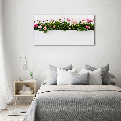 Tableau photo sur verre Marguerites roses