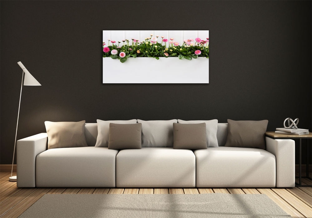 Tableau photo sur verre Marguerites roses