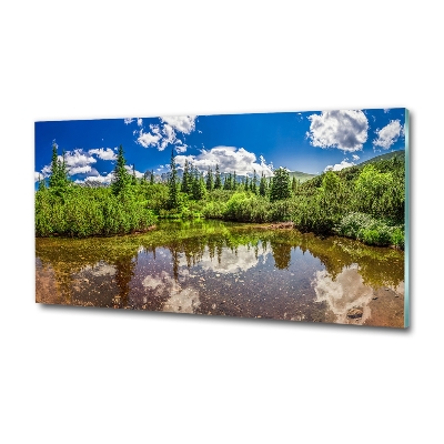 Tableau imprimé sur verre Lac dans la forêt