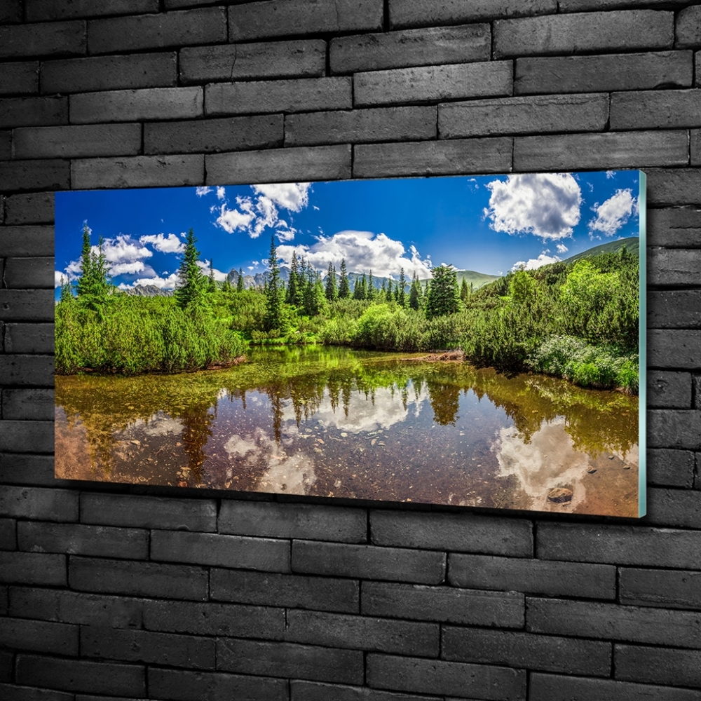 Tableau imprimé sur verre Lac dans la forêt