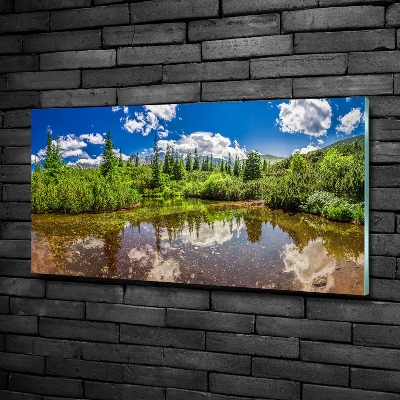 Tableau imprimé sur verre Lac dans la forêt