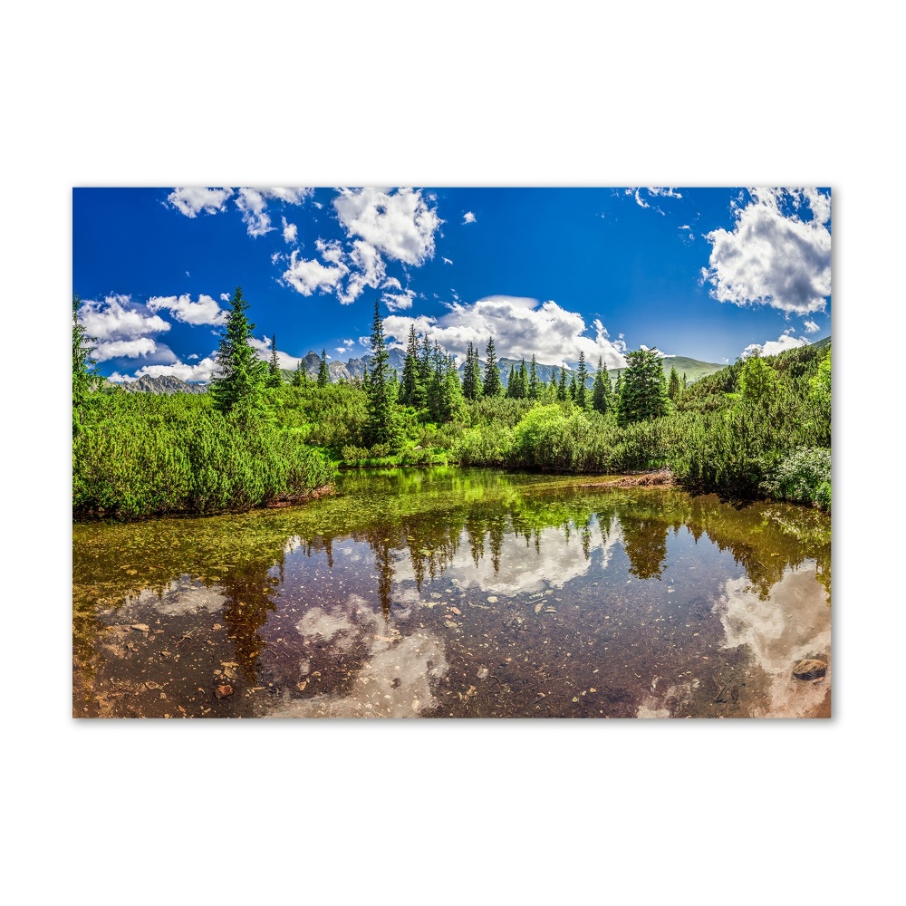 Tableau imprimé sur verre Lac dans la forêt