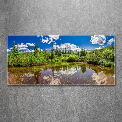 Tableau imprimé sur verre Lac dans la forêt