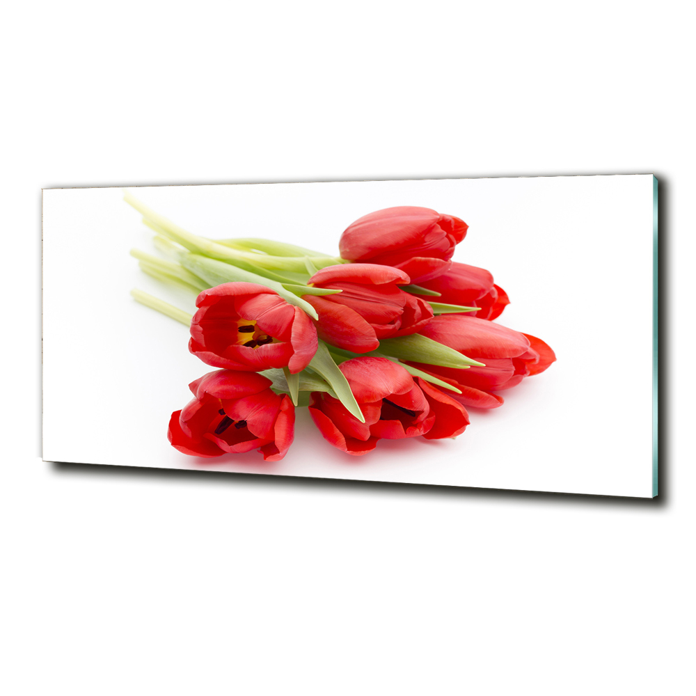 Tableau photo sur verre Tulipes rouges