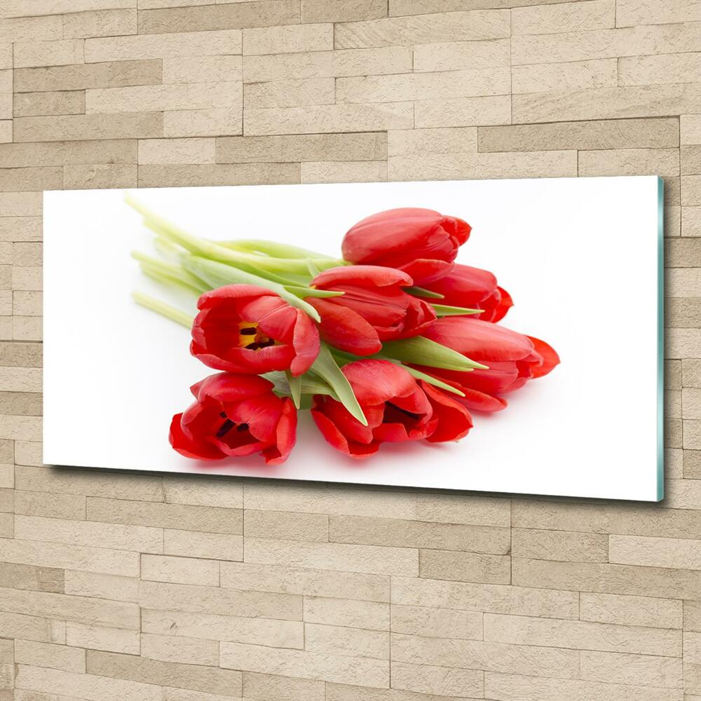 Tableau photo sur verre Tulipes rouges