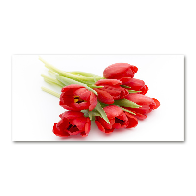 Tableau photo sur verre Tulipes rouges