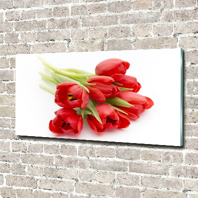 Tableau photo sur verre Tulipes rouges