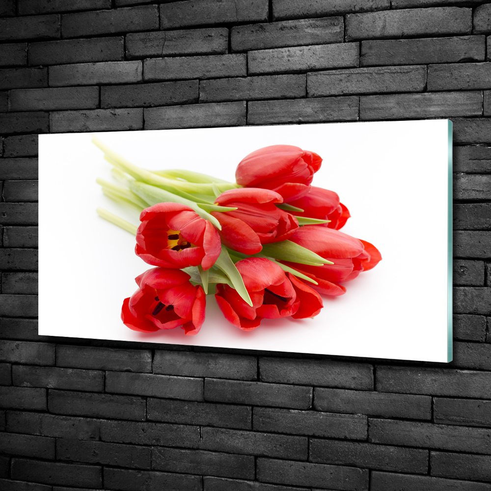 Tableau photo sur verre Tulipes rouges