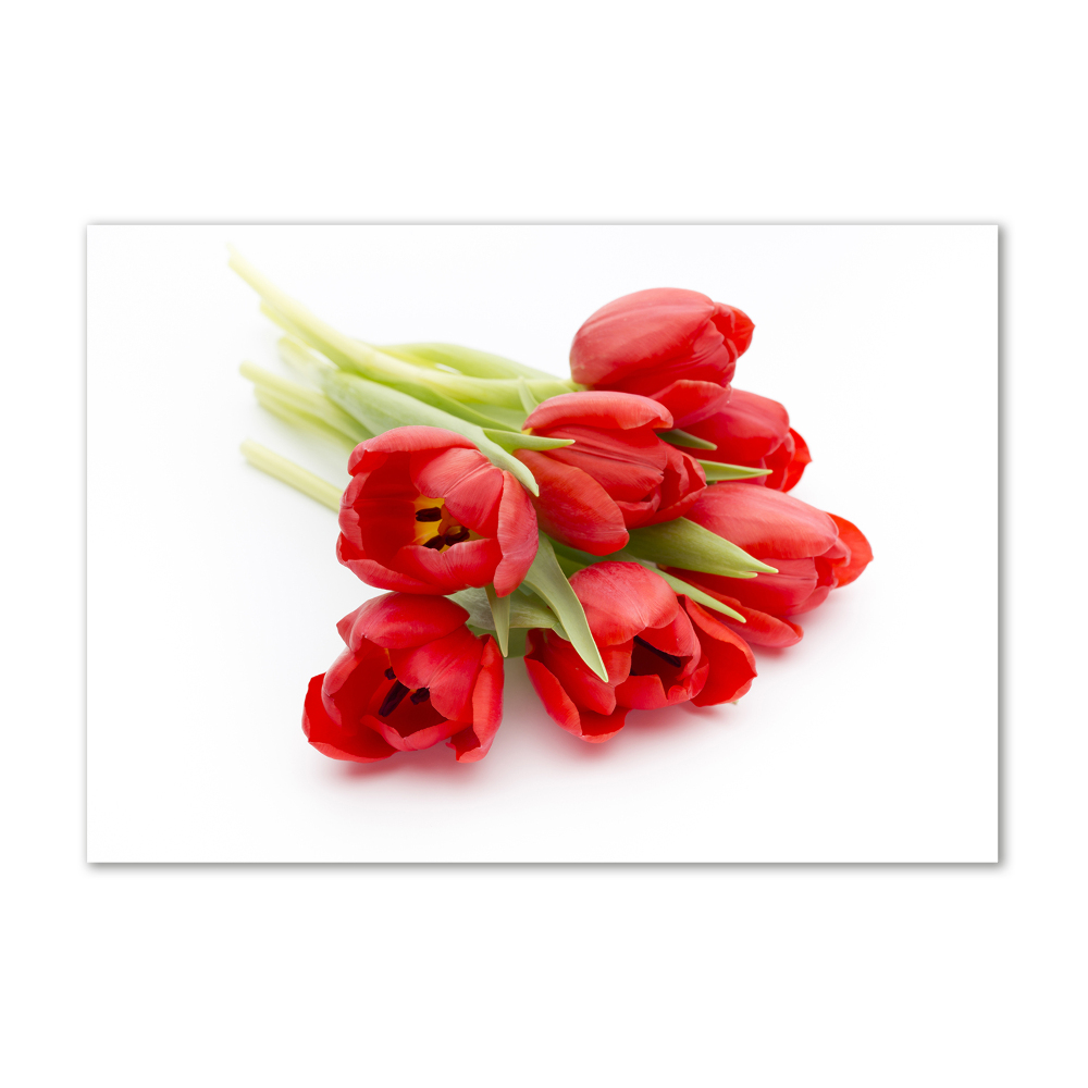 Tableau photo sur verre Tulipes rouges