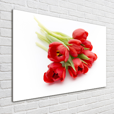 Tableau photo sur verre Tulipes rouges