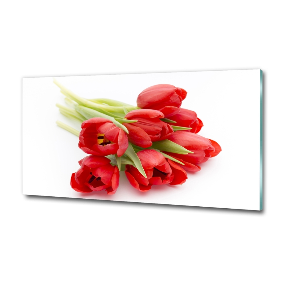 Tableau photo sur verre Tulipes rouges