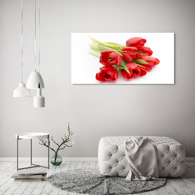 Tableau photo sur verre Tulipes rouges