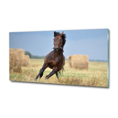 Tableau verre imprimé Cheval au galop