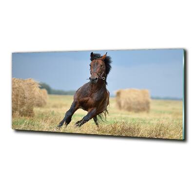 Tableau verre imprimé Cheval au galop