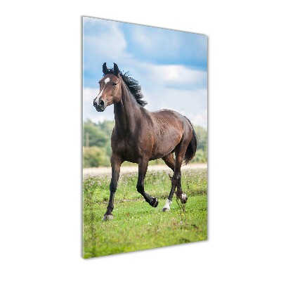 Tableau photo sur verre Cheval dans le champ