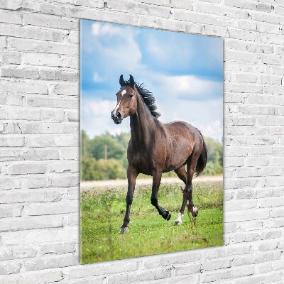 Tableau photo sur verre Cheval dans le champ