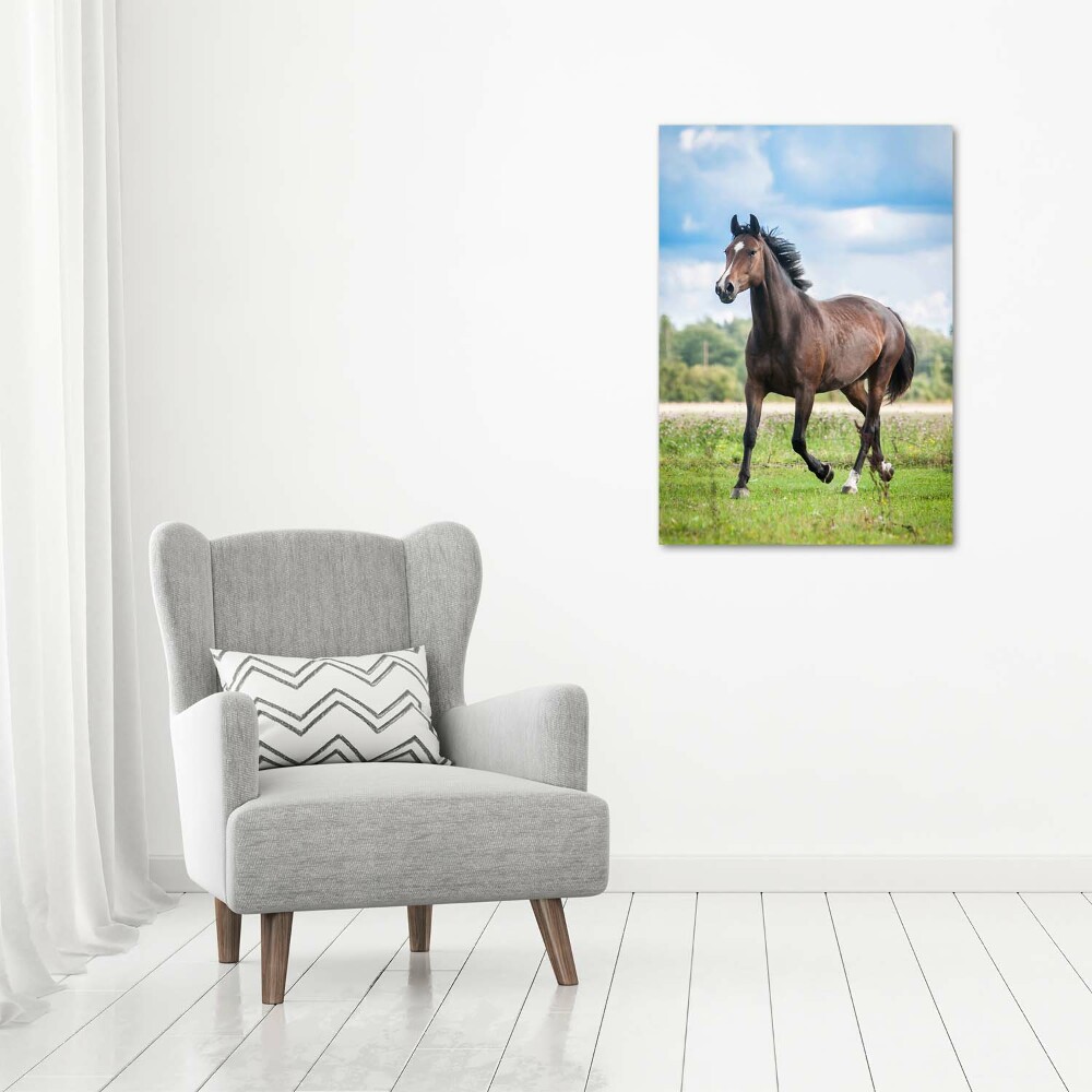 Tableau photo sur verre Cheval dans le champ