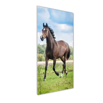 Tableau photo sur verre Cheval dans le champ