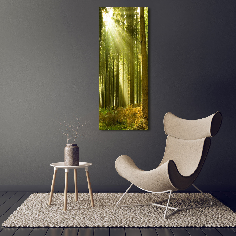 Tableau verre imprimé Soleil dans la forêt