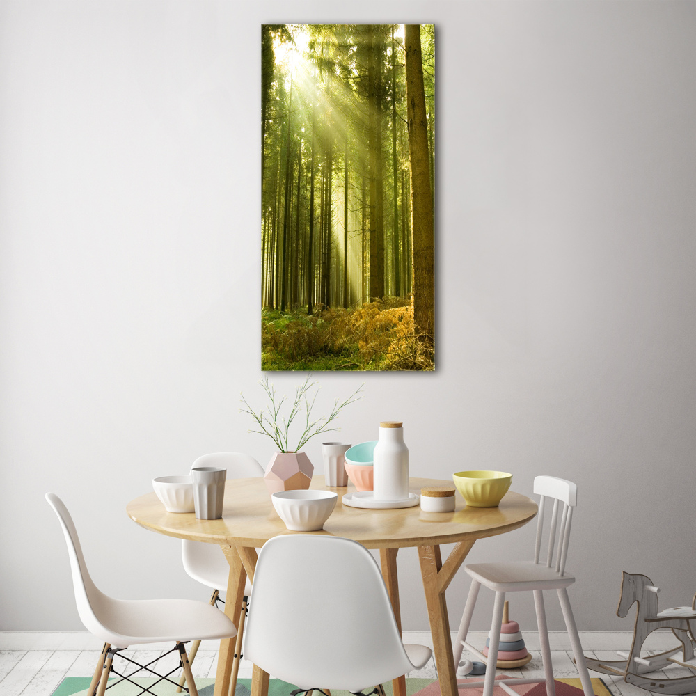 Tableau verre imprimé Soleil dans la forêt