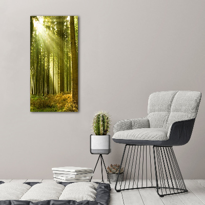 Tableau verre imprimé Soleil dans la forêt