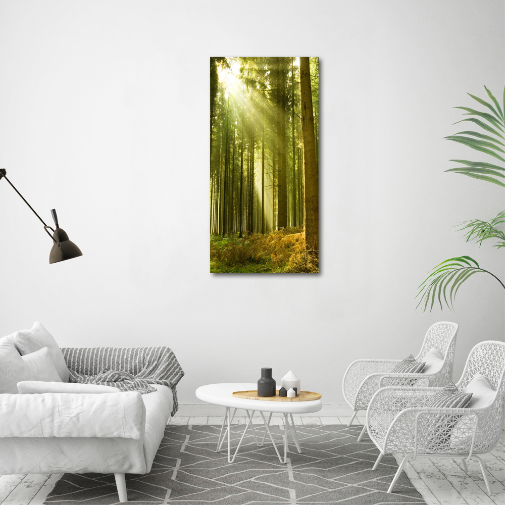 Tableau verre imprimé Soleil dans la forêt