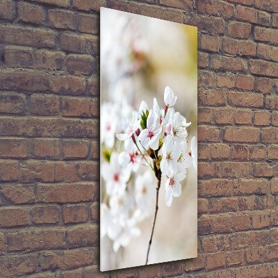 Tableau imprimé sur verre Cerisier en fleur