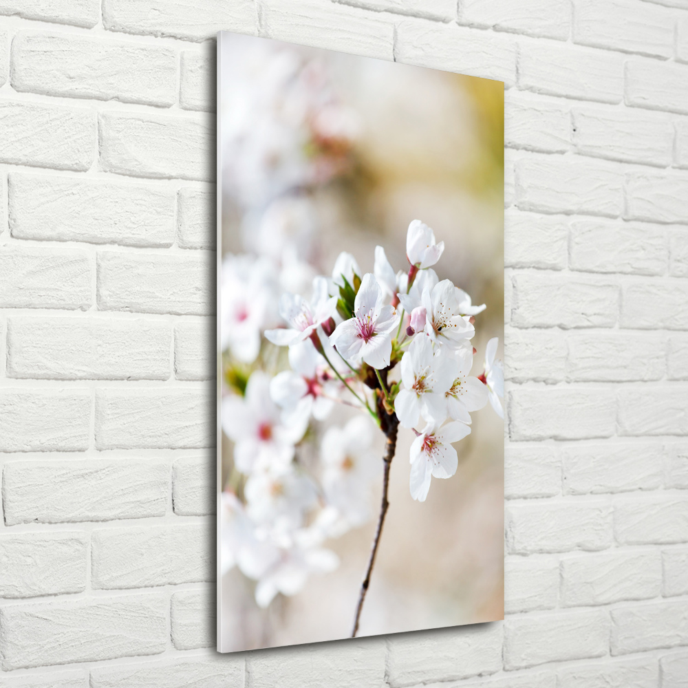 Tableau imprimé sur verre Cerisier en fleur