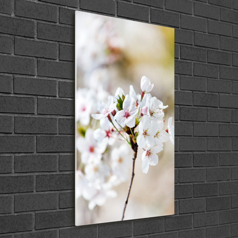 Tableau imprimé sur verre Cerisier en fleur