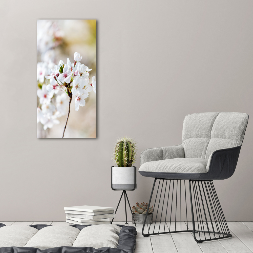 Tableau imprimé sur verre Cerisier en fleur