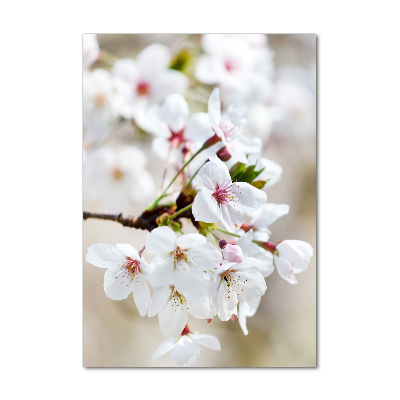 Tableau imprimé sur verre Cerisier en fleur