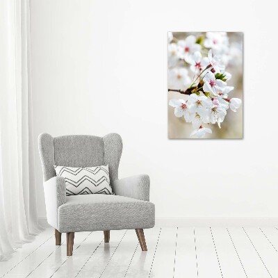 Tableau imprimé sur verre Cerisier en fleur