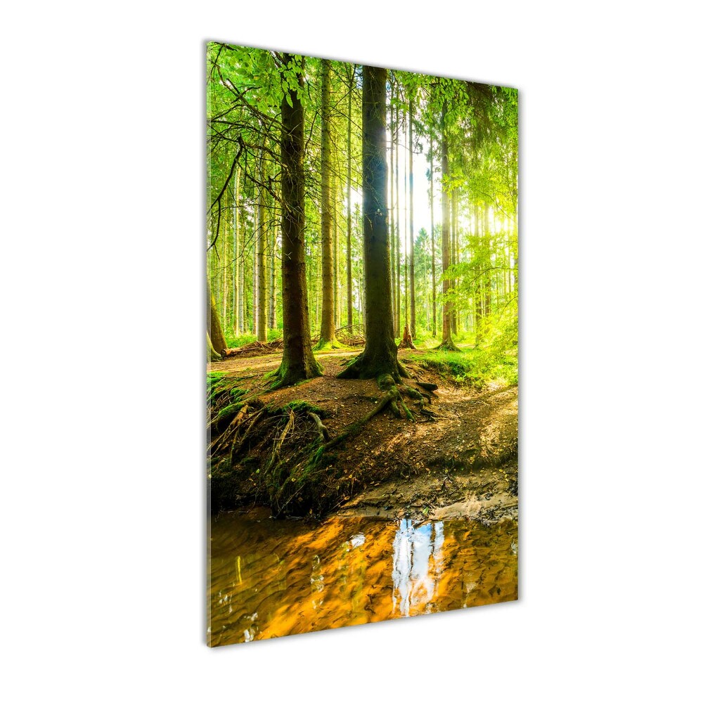 Tableau photo sur verre Soleil dans la forêt