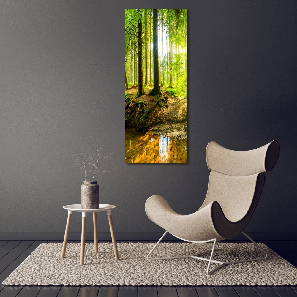 Tableau photo sur verre Soleil dans la forêt