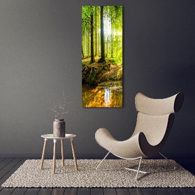 Tableau photo sur verre Soleil dans la forêt