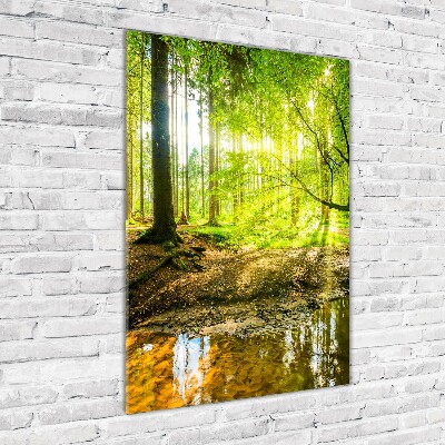 Tableau photo sur verre Soleil dans la forêt