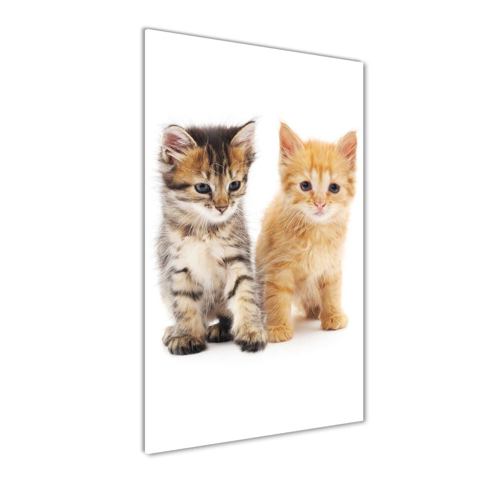 Tableau en verre Chat gris et roux