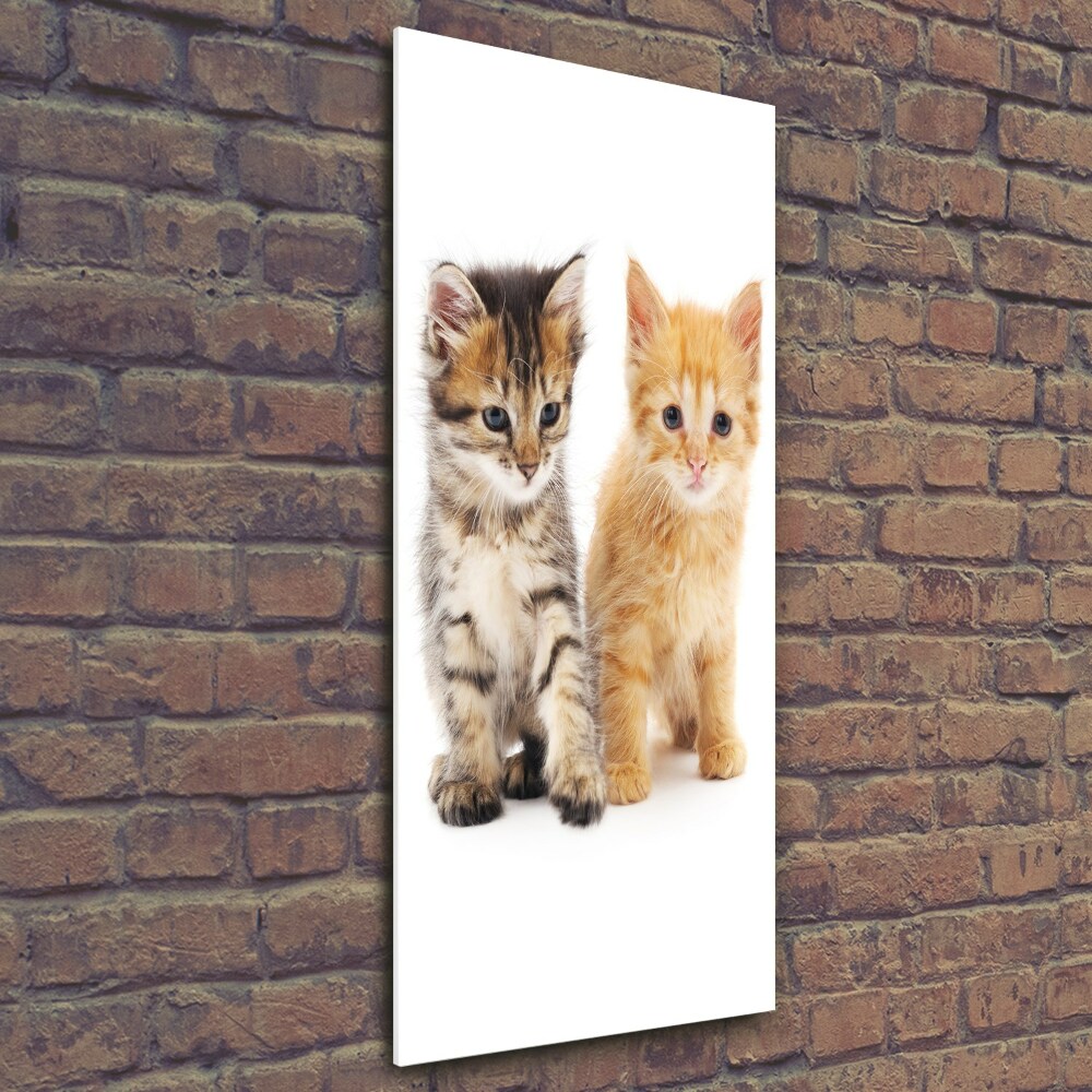 Tableau en verre Chat gris et roux