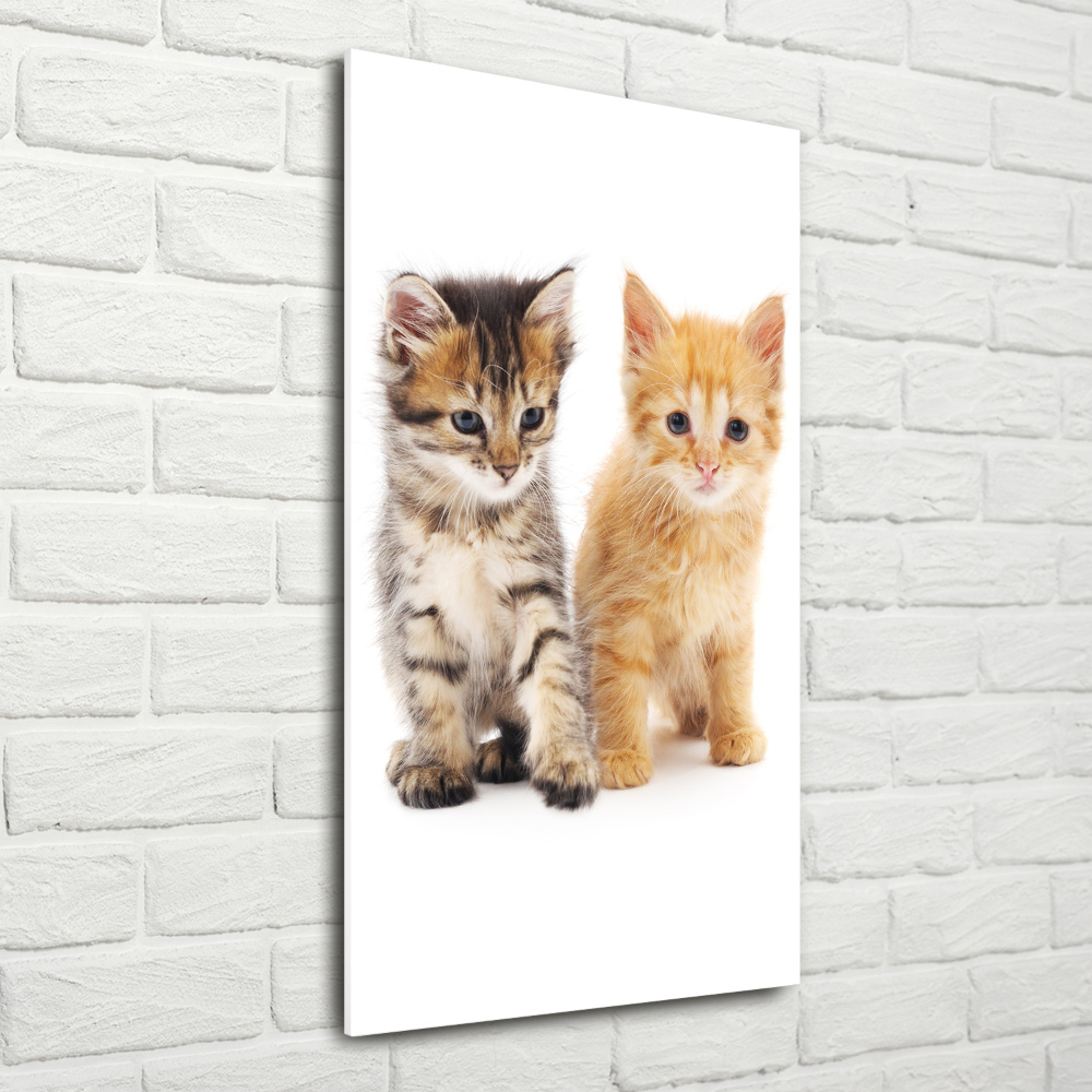 Tableau en verre Chat gris et roux