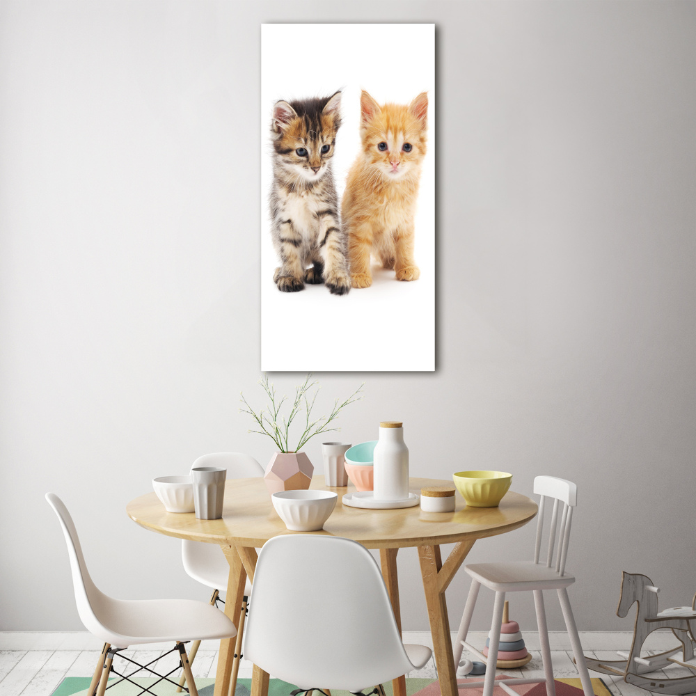 Tableau en verre Chat gris et roux