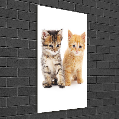 Tableau en verre Chat gris et roux